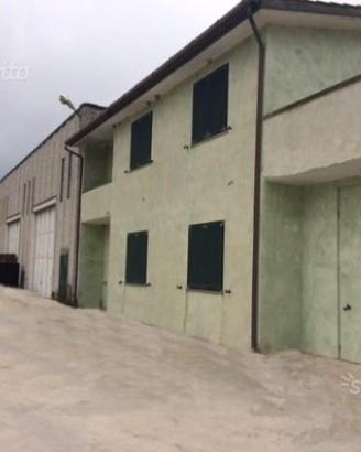 Capannone e uffici in zona industriale