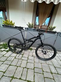 BICI SPECIALIZED ENDURO 2015