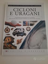 Cicloni e uragani