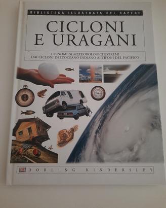 Cicloni e uragani