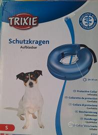 trixie collare post operazione 