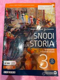 Gli snodi della storia 3 - '900 e mondo attuale
