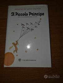 Il piccolo Principe