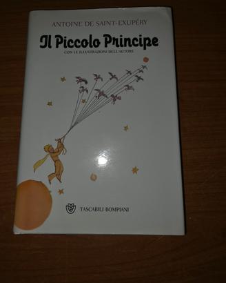 Il piccolo Principe