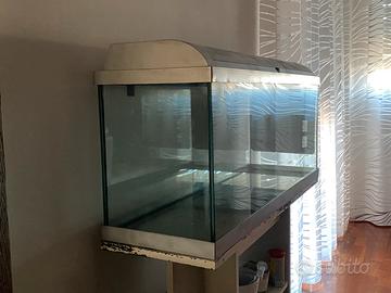 Acquario completo di accessori