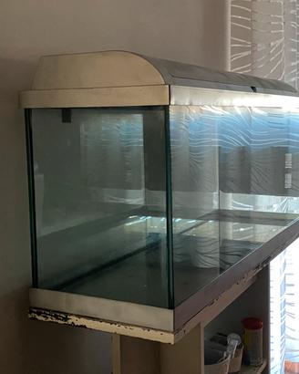 Acquario completo di accessori