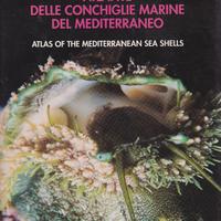 Atlante delle conchiglie marine del Mediterr vol 1