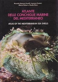 Atlante delle conchiglie marine del Mediterr vol 1
