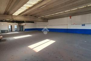 CAPANNONE A BUTTIGLIERA ALTA