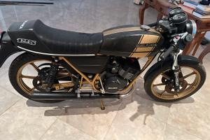 Malanca 125