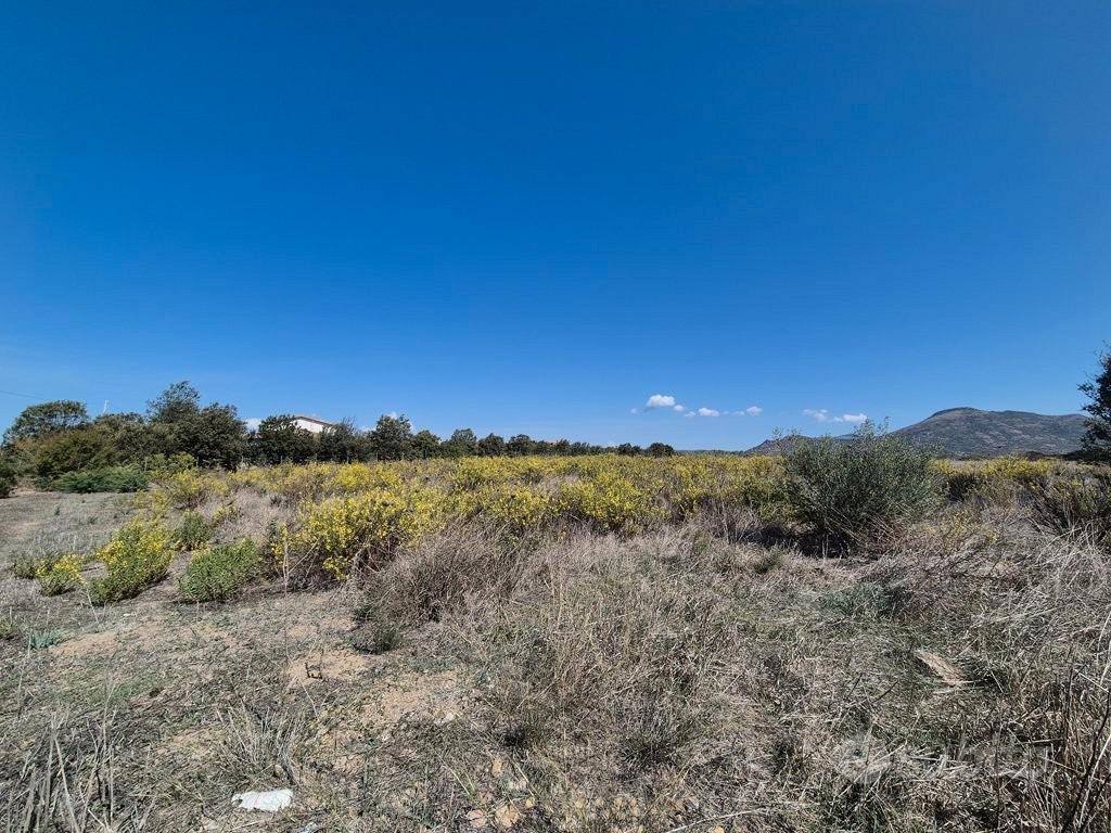 Terreni agricoli - san giovanni suergiu - Vista 3