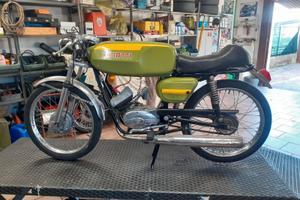 cimatti kaiman 50 sport