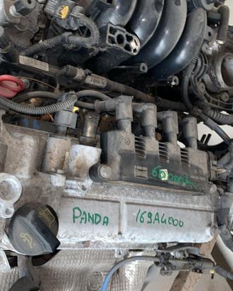 Motore Completo FIAT Panda 169A4000 60.000 Km 1200