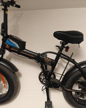 fat bike 
