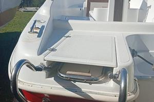 Barca fiart marea 20