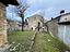 Immagine 12