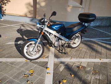 Revere ntv 650 d'epoca asi da vetrina