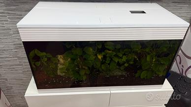 Acquario Askoll pure led XL