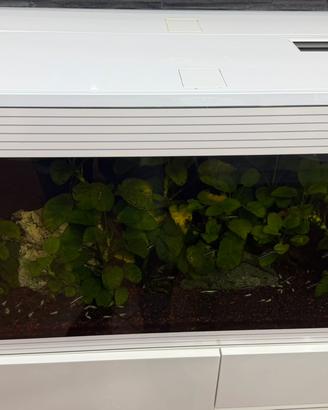 Acquario Askoll pure led XL