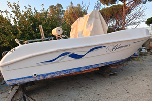 Blumax 19+Suzuki Ari 40 CV