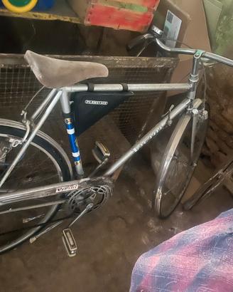 Bicicletta vicini sportiva