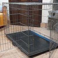 kennel professionale per cani taglia medio grande 