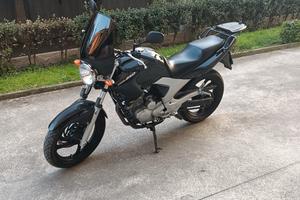 Yamaha YBR 250 ben tenuta