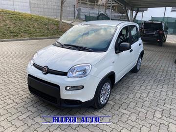 FIAT Panda PROMO FIN. 1.0 FireFly S&S Hybrid MY