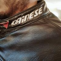 Giacca moto Dainese 