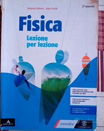 Fisica lezione per lezione 2 biennio