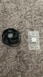 ryzen 5 8500g con dissipatore