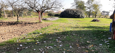 Terreno agricolo uso orto