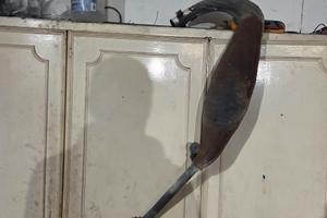 Aprilia RS 125 marmitta e silenziatore originale