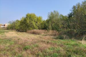 Terreno Agricolo e misto/terziario