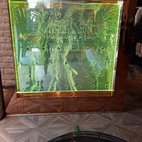 ACQUARIO PROFESSIONALE - PARETE LUMINOSA - FONTANA