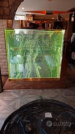 ACQUARIO PROFESSIONALE - PARETE LUMINOSA - FONTANA