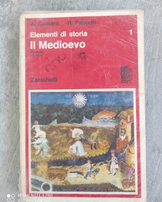 Elementi di storia