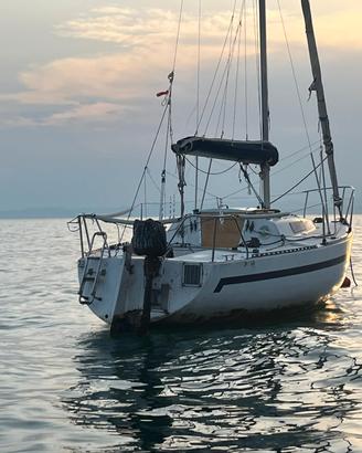barca a vela 6.3 mt