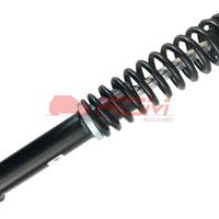 kit dischi freno ligier js50 60 ixo mgo microcar p