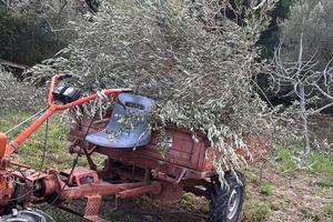 Motocoltivatore