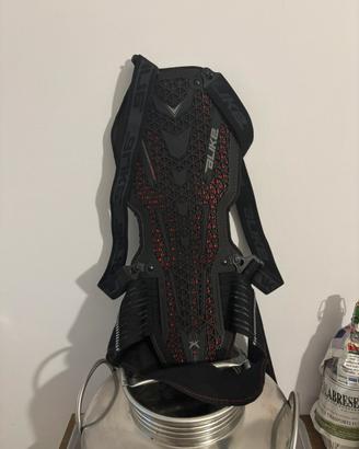 Paraschiena moto