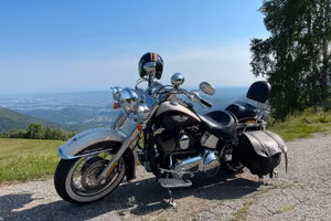 Harley Davidson