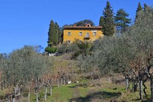 Rustico / Casale di 390 m² con più di 5 locali e b