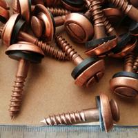 Viti rame rondella e guarnizione