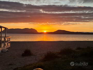 Casa Vacanze Pittulongu