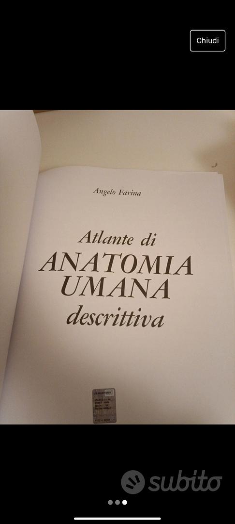 Atlante di ANATOMIA UMANA descrittiva : Angelo Farina