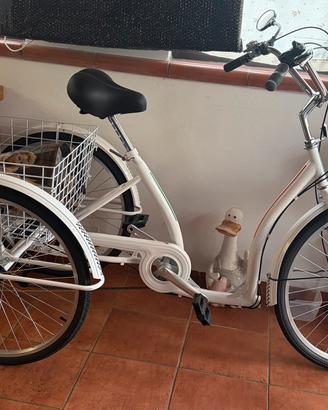 Bici con 3 ruote. Triciclo per disabili