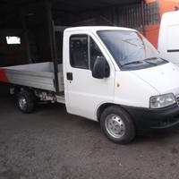 Fiat ducato cassone