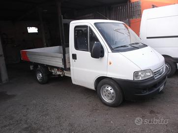 Fiat ducato cassone