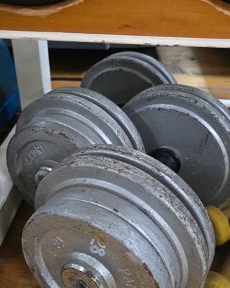 coppia manubri da 28 kg cda